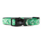 Collars and Leads - Designs