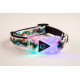 Collars and Leads - Designs