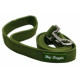 Leash
