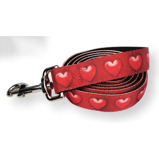 Collars and Leads - Designs