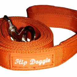 Leash