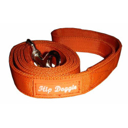 Leash