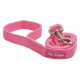 Leash