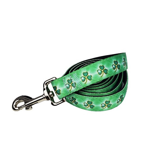 Collars and Leads - Designs