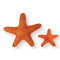 Loofa Toy - Starfish