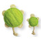 Loofa Toy - Turtle