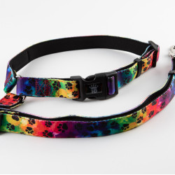 Seatbelt Leash