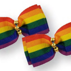 Small Bows - Rainbow