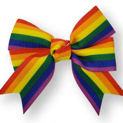 Large Bow - Rainbow