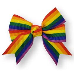 Large Bow - Rainbow