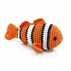 Clown Fish
