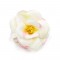 Easy BOW Flower 12