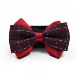 Easy BOW Gentleman 12