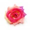 Easy BOW Rose 2
