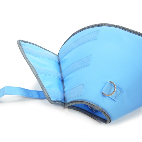 Recovery E-Collar