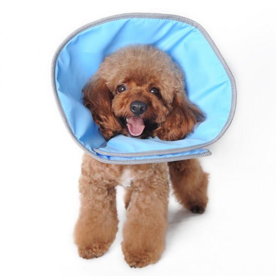 Recovery E-Collar