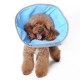 Recovery E-Collar
