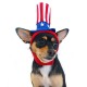 Uncle Sam Hat
