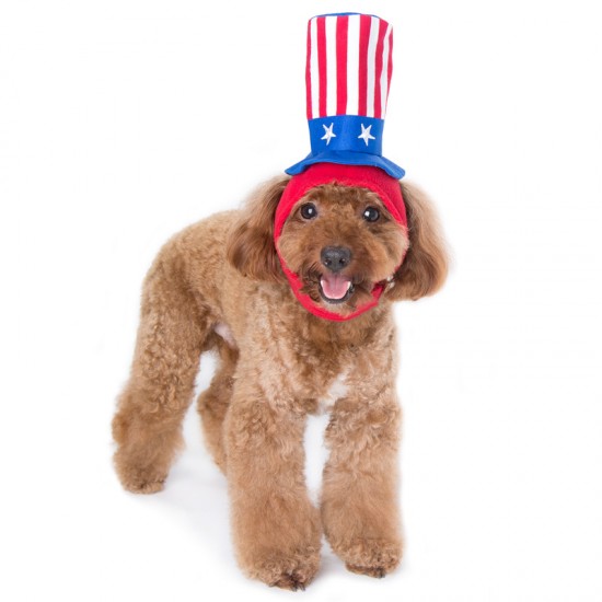 Uncle Sam Hat