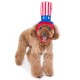 Uncle Sam Hat