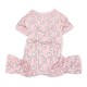 DOGO PJ - Bunny