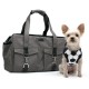 Buckle Tote BB