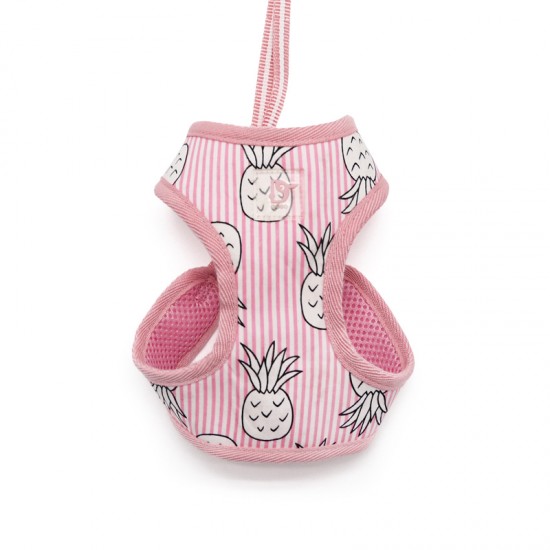 EasyGo Pineapple