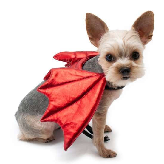 Dragon Wings Red