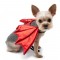Dragon Wings Red