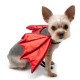 Dragon Wings Red