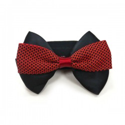 Easy BOW Gentleman 5