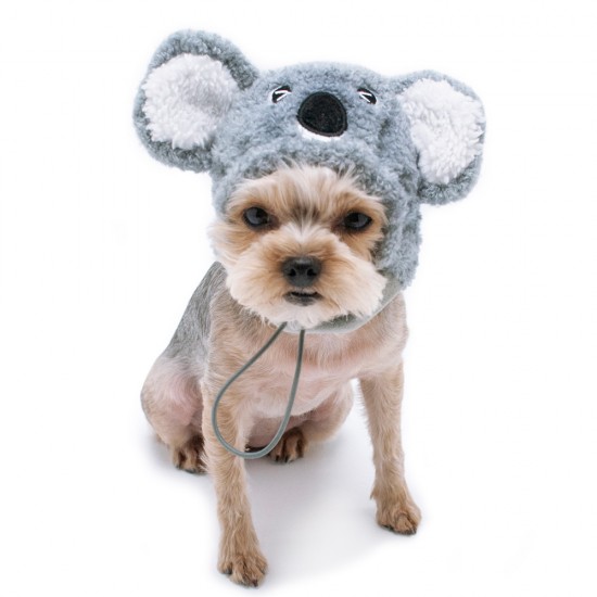 Koala Hat
