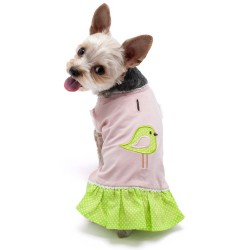 Little Birdy Dress