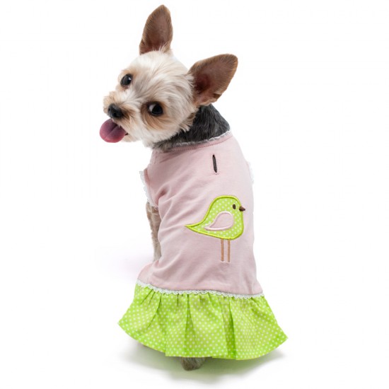 Little Birdy Dress