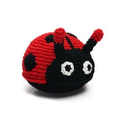Ladybug