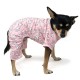 DOGO PJ - Bunny