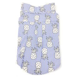 Pineapple Shirt - Old Style