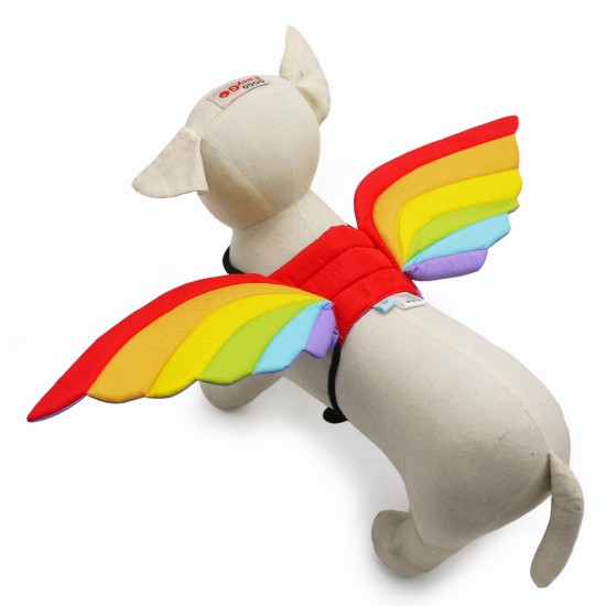 Rainbow Wings