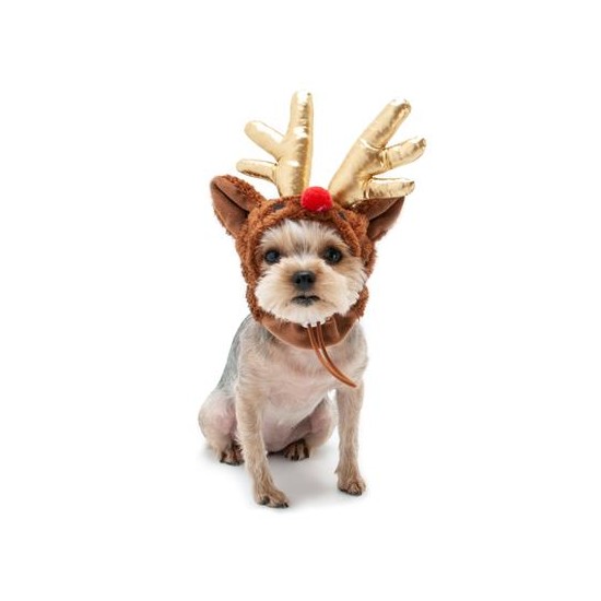 Rudolph Hat