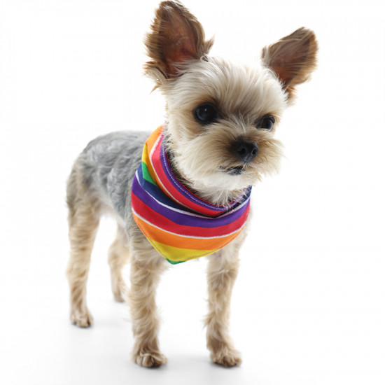 Bandana - Rainbow