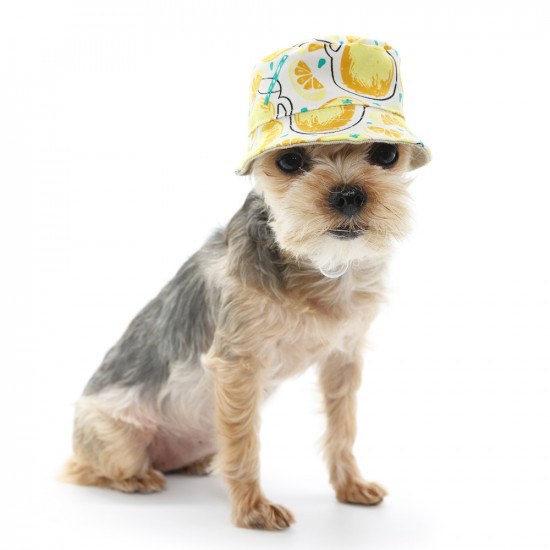Lemonade Bucket Hat