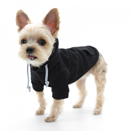 Drawstring Hoody