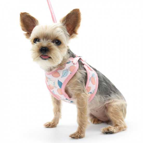 EasyGo Lemon