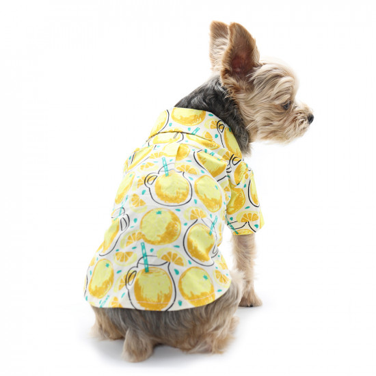 Lemonade Shirt