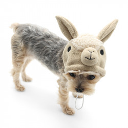 Llama Hat
