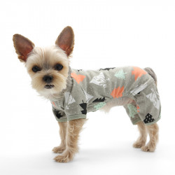 DOGO PJ - Pine Tree