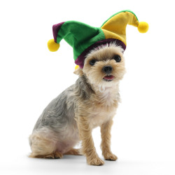 Joker Hat