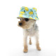 Lemon Bucket Hat