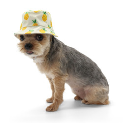 Pineapple Bucket Hat