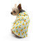 Pineapple Shirt - New Style